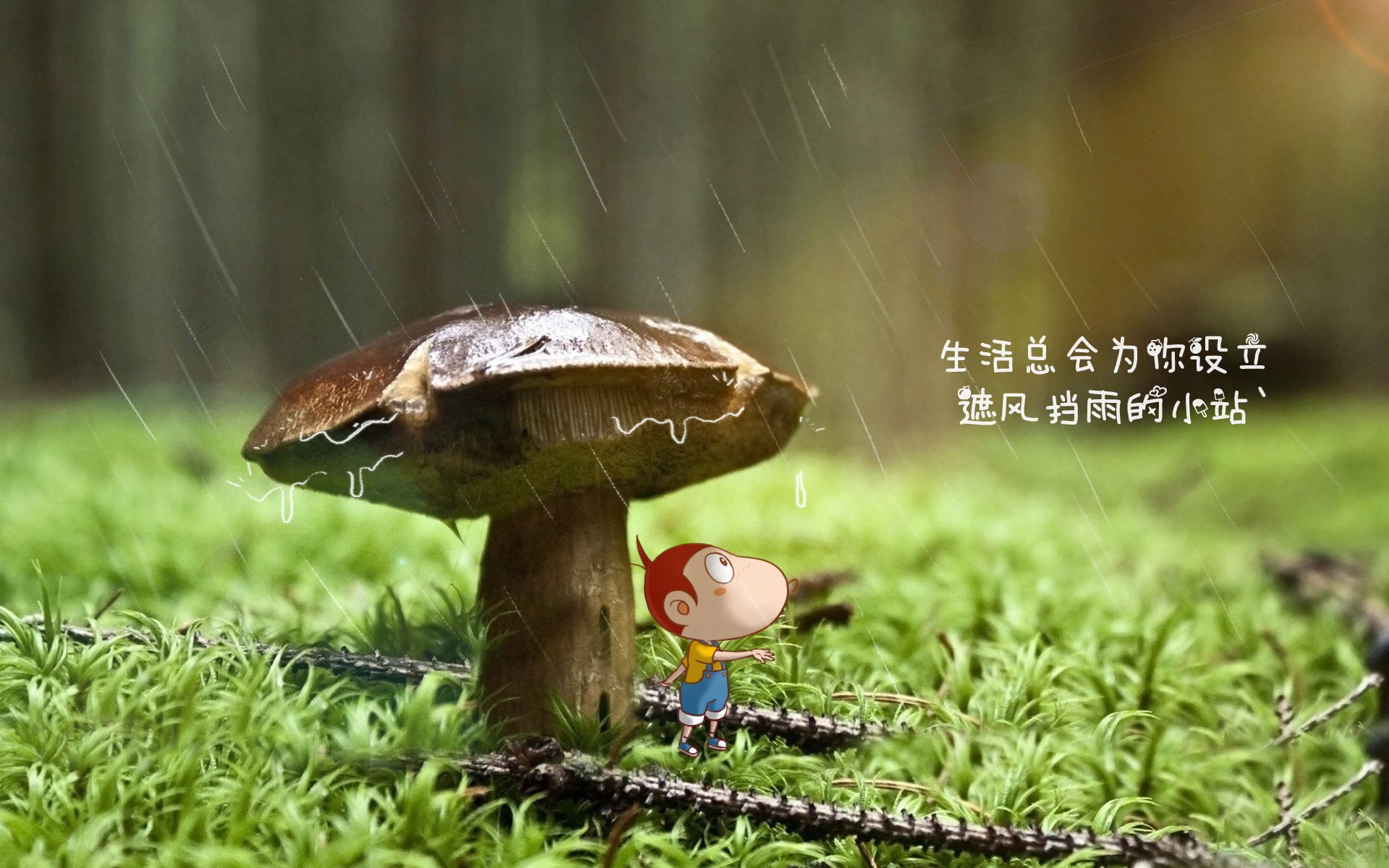 中超边锋单挑能力分布图热力解析，中超边后卫排名