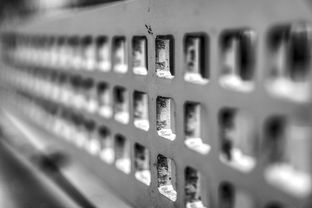 开云体育官网上-青少年运动损伤预防技术及实践研究，青少年运动损伤预防技术及实践研究论文