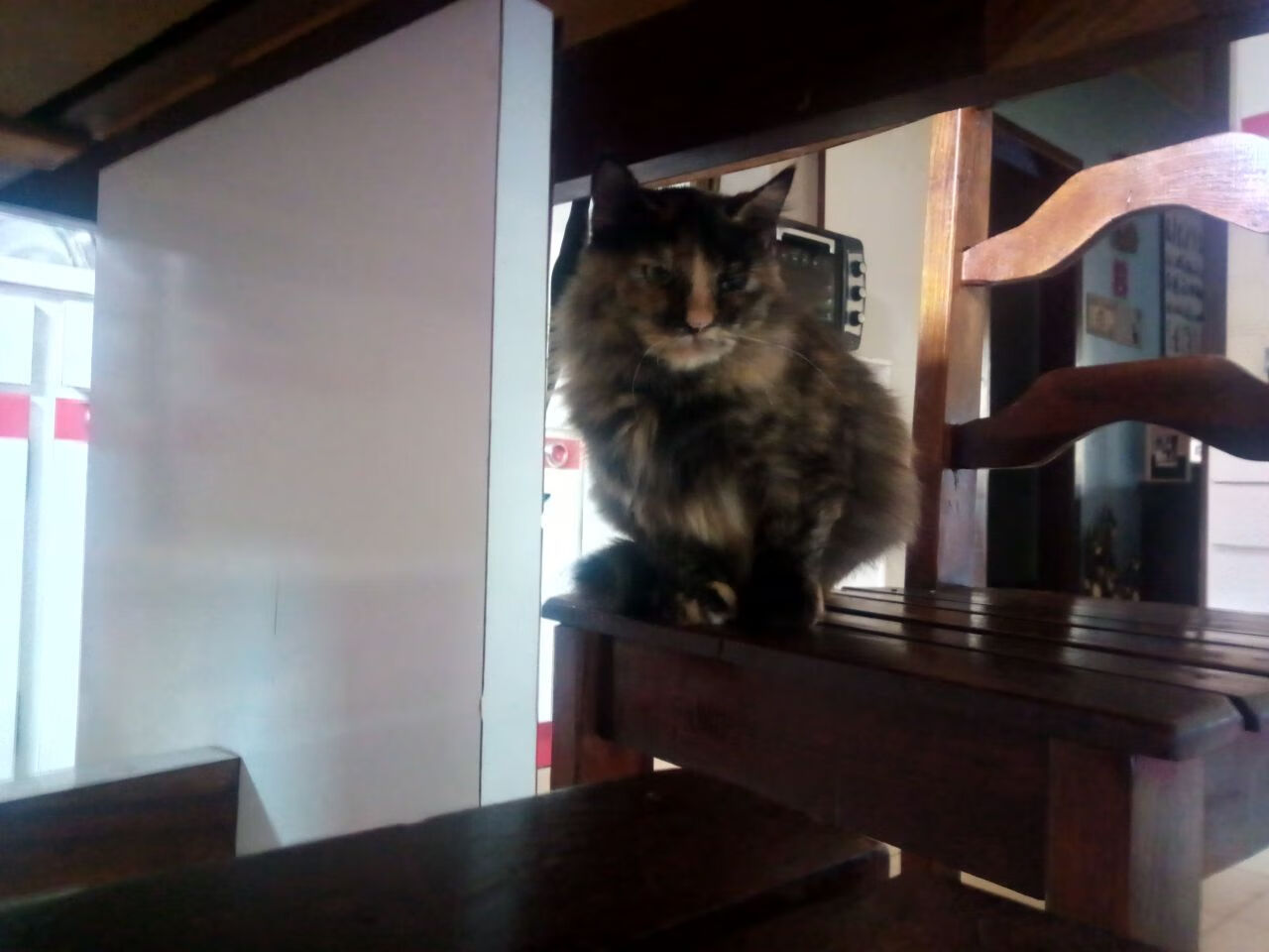 开运体育电脑版-WTT大满贯中国队包揽全部金牌，wtt大满贯赛