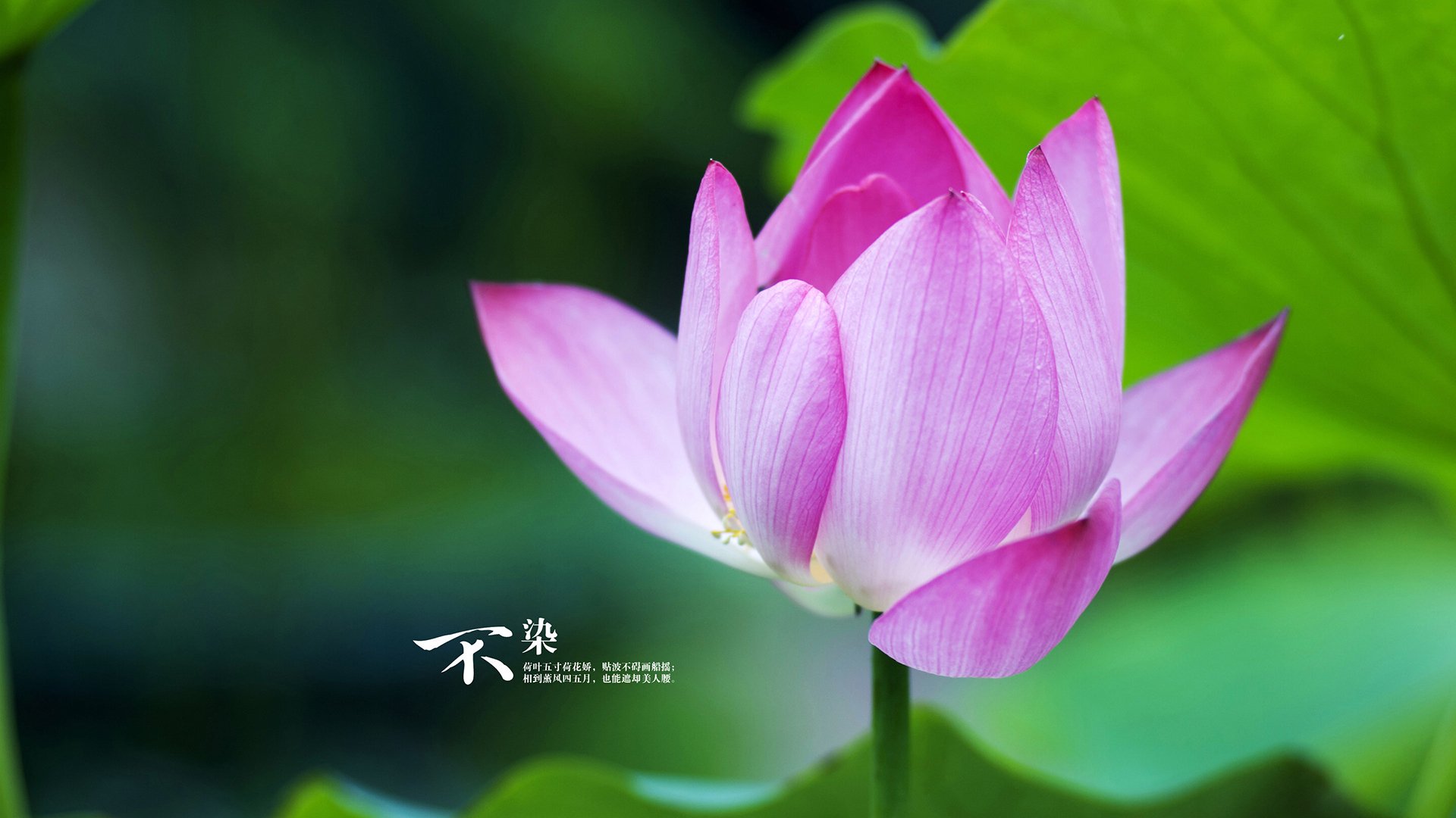 中国男篮提升外线空位出手的稳定性,中国男篮提升外线空位出手的稳定性