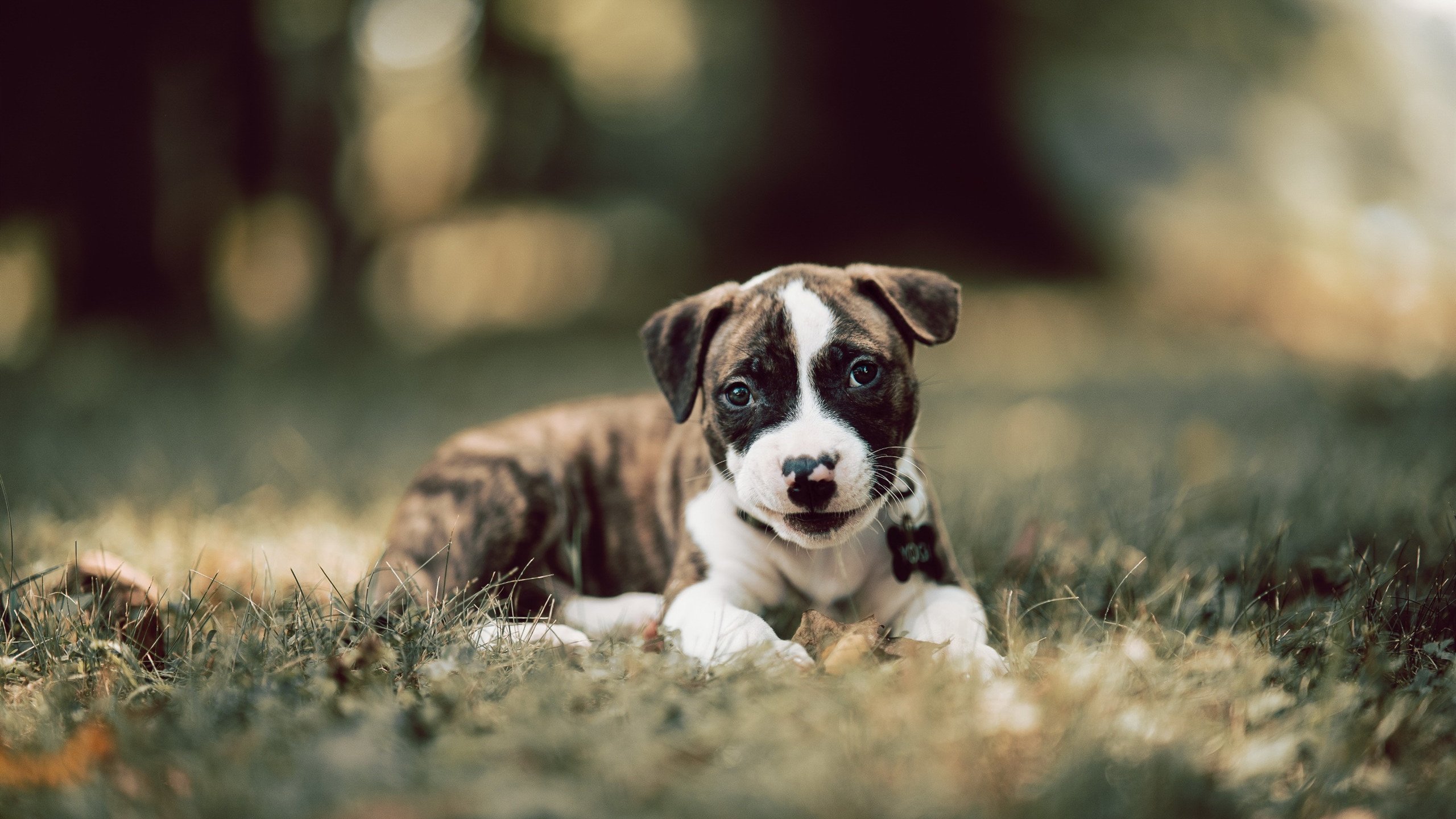 中超联赛国家队爆冷 球迷分析战术失误,中超联赛足球队