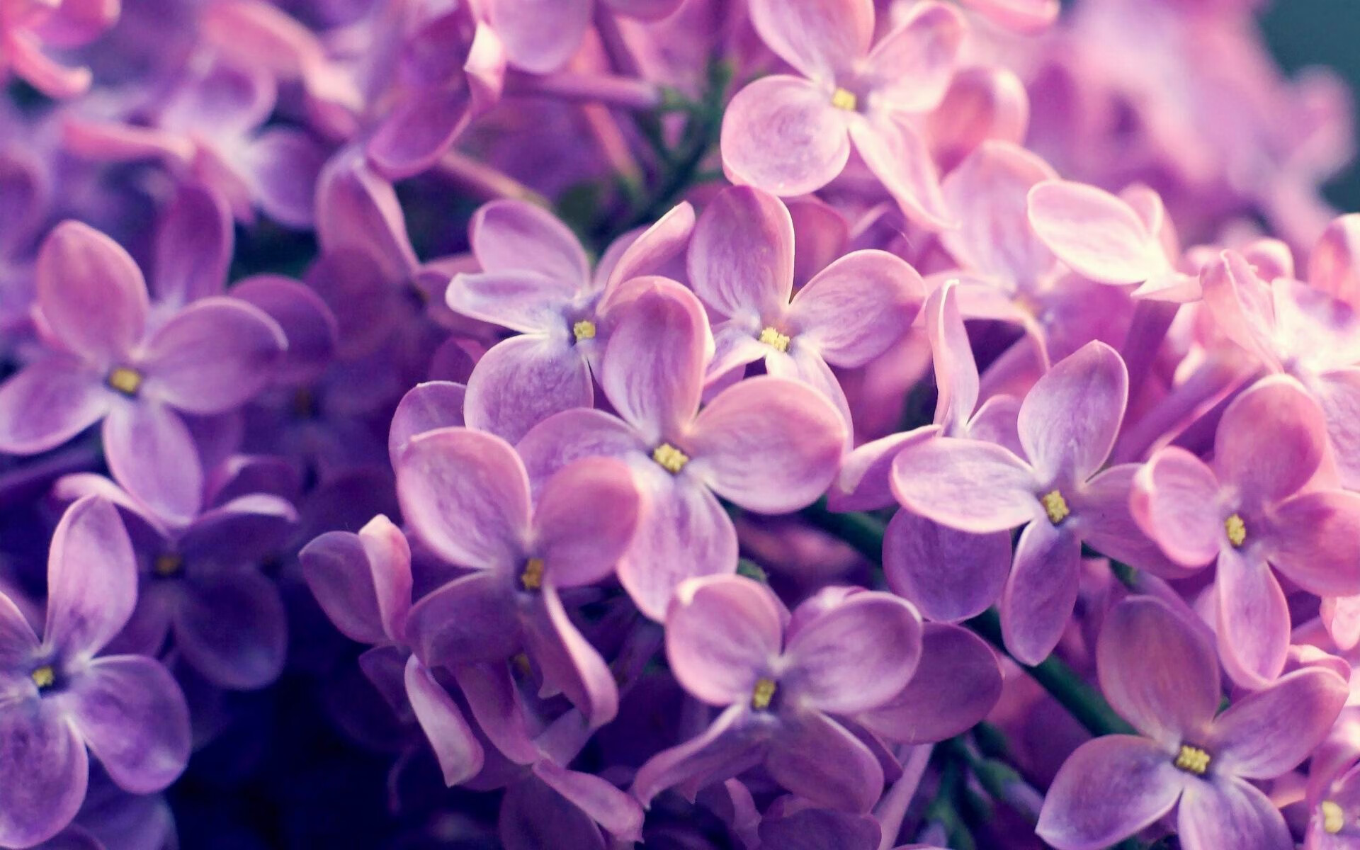 体操世锦赛开幕 中国队目标全项晋级,体操世锦赛2022