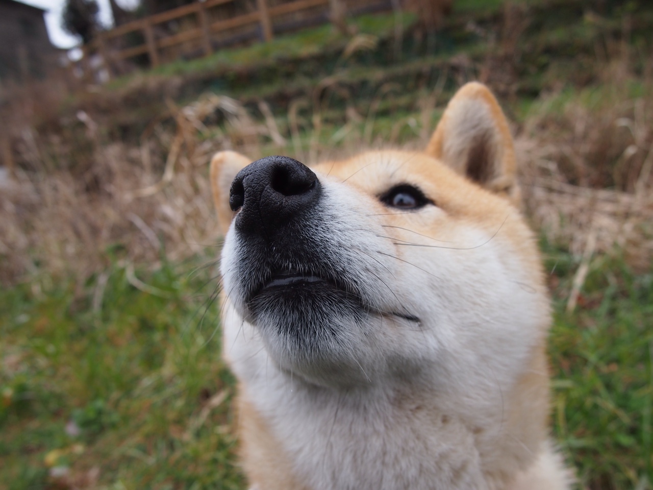 开云在线登入-周琦恢复训练内线支柱有望强势回归，周琦带队