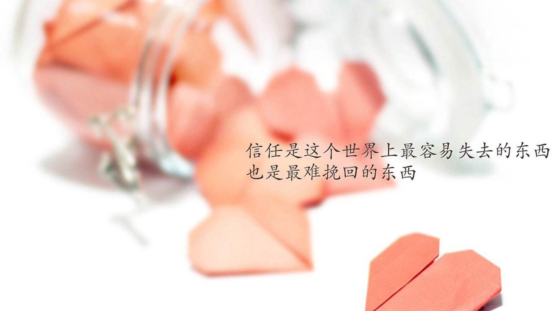 德国队备战国际乒联混合团体世界杯:赛制如何影响战术选择,德国队乒乓球团体赛