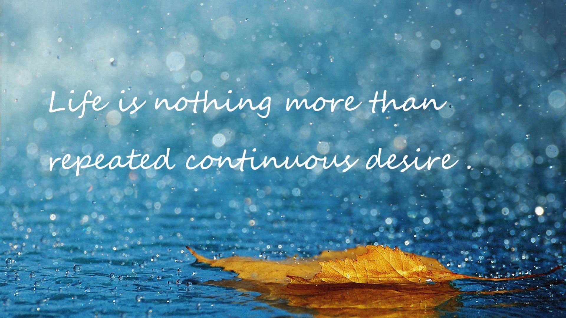 新型乒乓球拍设计引领比赛革命,乒乓球拍创意