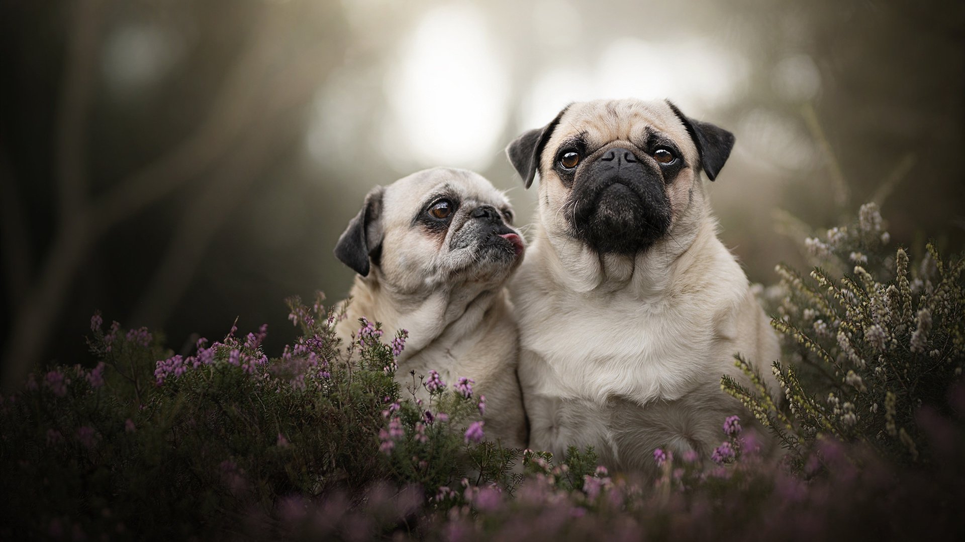 武术进校园活动融合地域特色文化,武术进校园活动报道