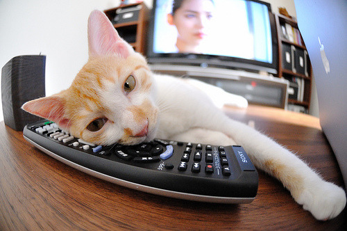 球队平均得分79分,对手95.2分,净负16.2,球队得分算加时吗