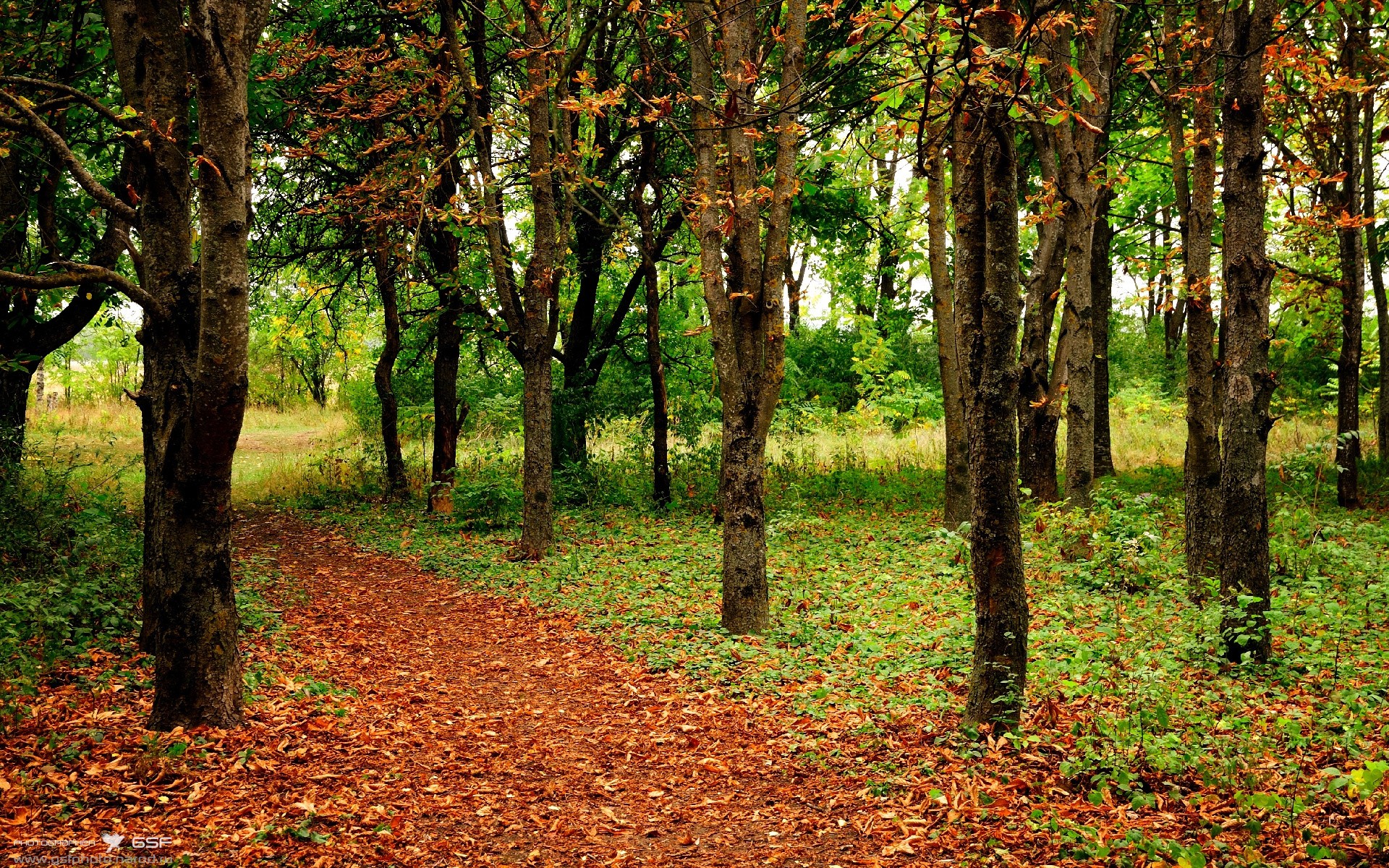 球队平均得分79分,对手95.2分,净负16.2,球队得分算加时吗