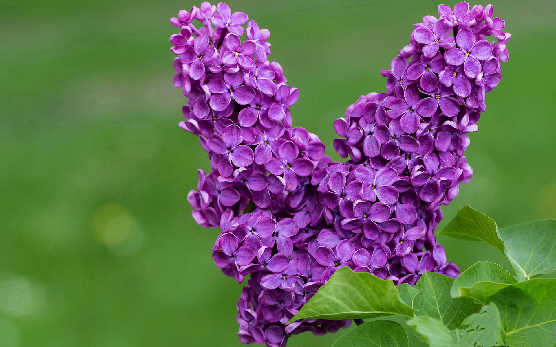 马竞中路集结控制比赛节奏主导权，马竞战术