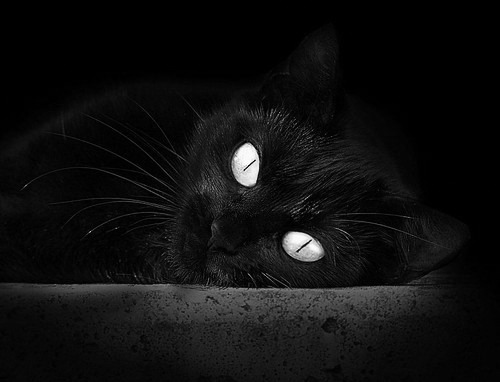 中国篮协推动训练内容个性化调整提高针对性，中国篮协改革的问题和应对